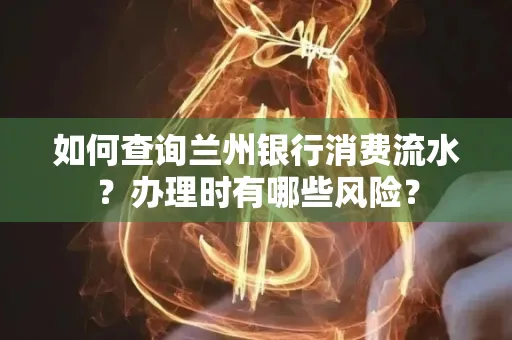如何查询兰州银行消费流水？办理时有哪些风险？