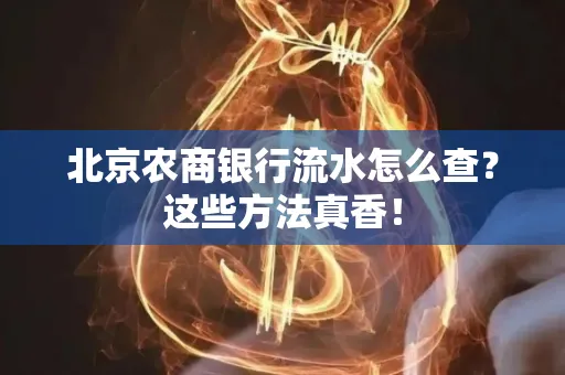 北京农商银行流水怎么查？这些方法真香！
