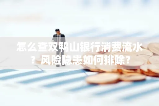怎么查双鸭山银行消费流水？风险隐患如何排除？