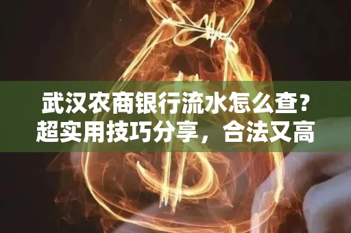 武汉农商银行流水怎么查？超实用技巧分享，合法又高效！