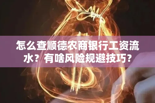 怎么查顺德农商银行工资流水?有啥风险规避技巧? 怎么查顺德农商银行工资流水?有啥风险规避技巧?