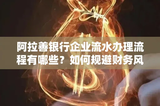 阿拉善银行企业流水办理流程有哪些？如何规避财务风险提升效率？
