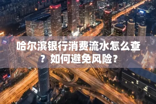 哈尔滨银行消费流水怎么查？如何避免风险？